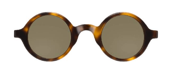 Zolman Tortoise Brown front zolman-tortoise-brown-front