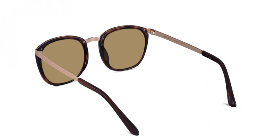 moscot-brude-burnt-tortoise-gold-brown-3