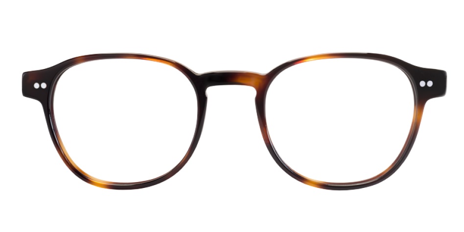 arthur_tortoise_demo_front