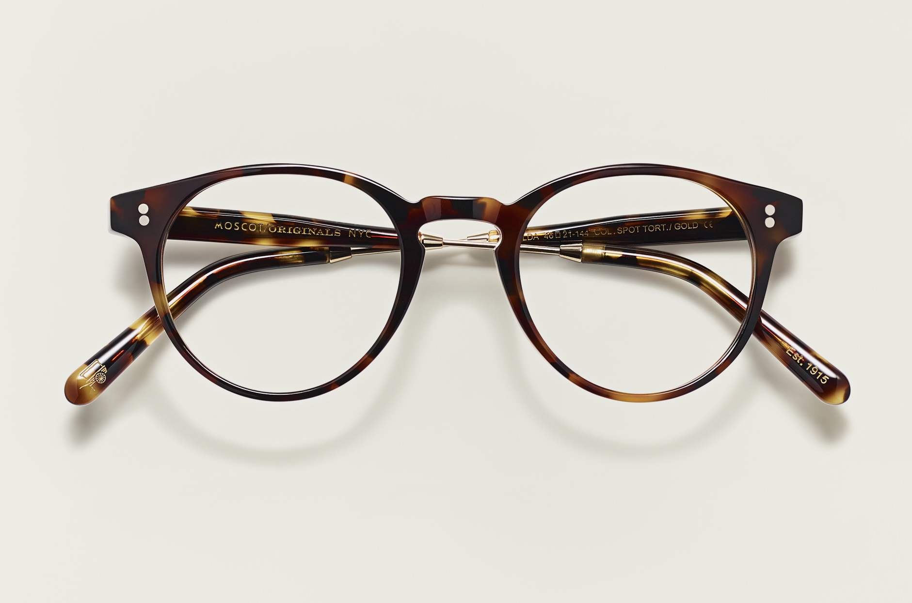 GOLDA Spot Tortoise 1 golda-spot-tortoise-1