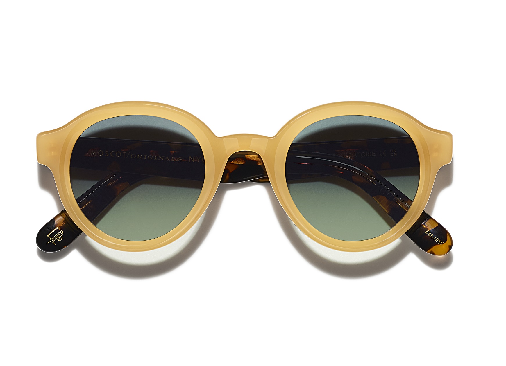 greps_sun_honeytortoise