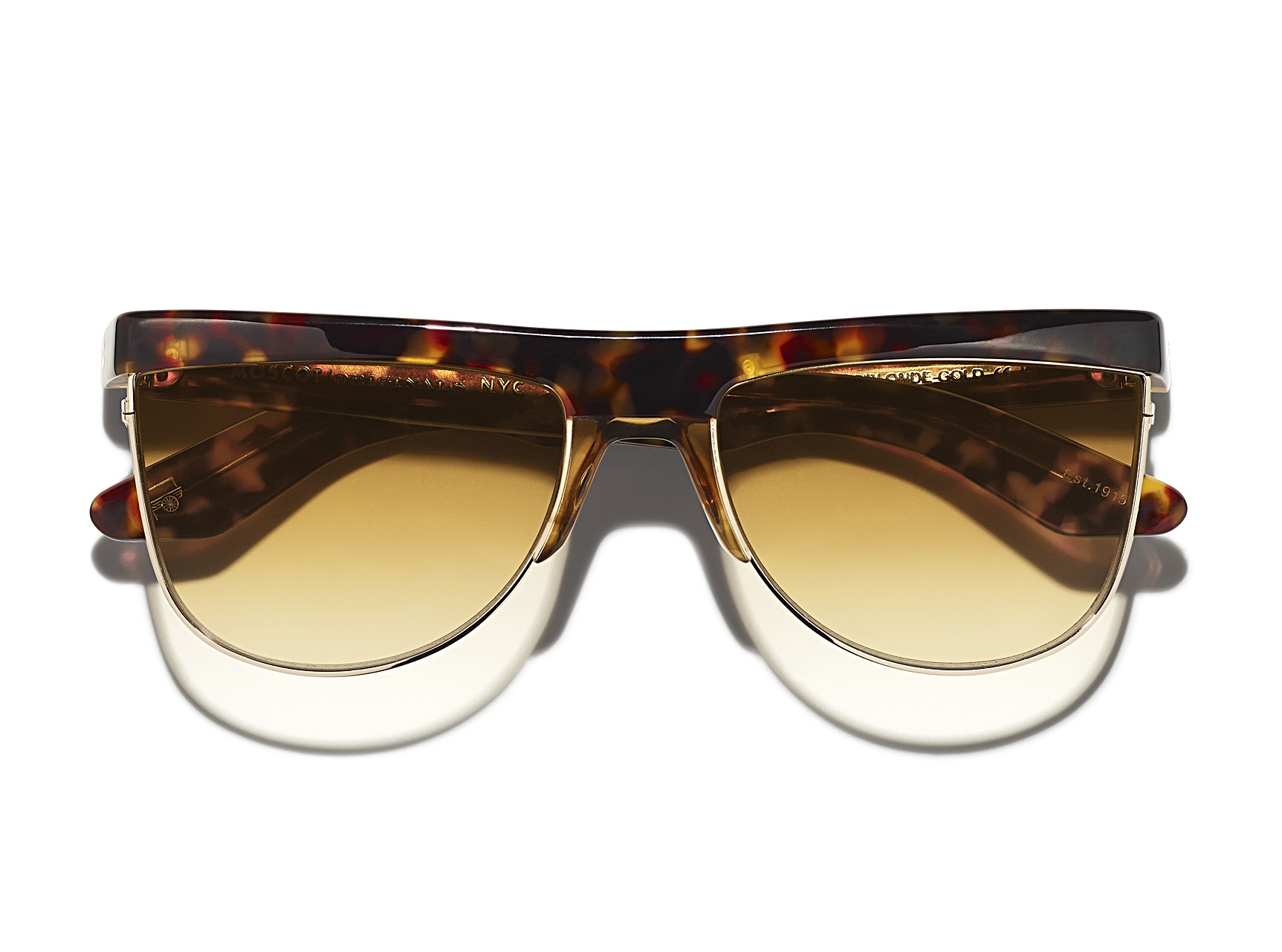 SHONDA_Sun_Tortoise shonda_sun_tortoise