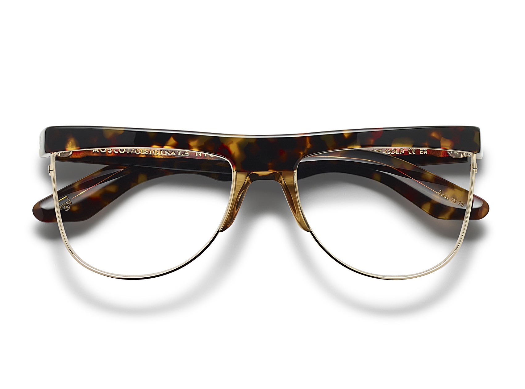 SHONDA_Tortoise shonda_tortoise