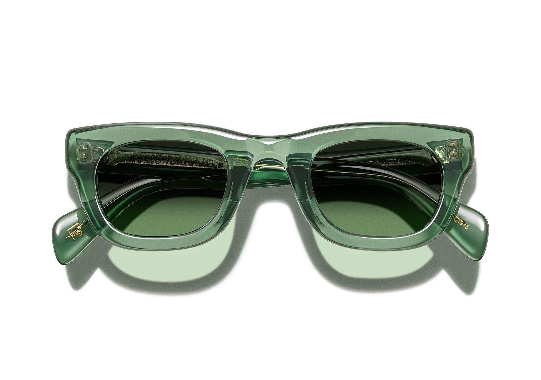 OH_SUN_SPILKES SUN_PINE FOREST WOOD_OUTW oh_sun_spilkes-sun_pine-forest-wood_outw